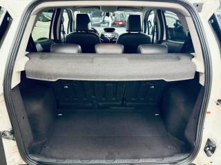 FORD EcoSport usata, con Controllo trazione