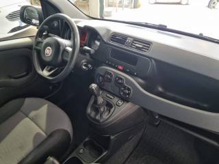 FIAT Panda usata 13