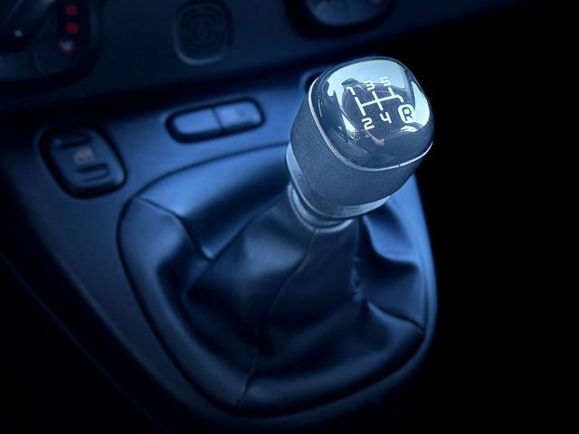 FIAT Panda usata 24