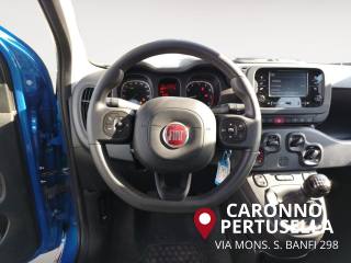 FIAT Panda usata, con Airbag testa