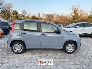 FIAT Panda usata 12