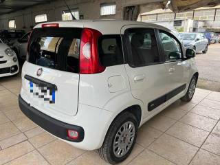 FIAT Panda usata, con Alzacristalli elettrici