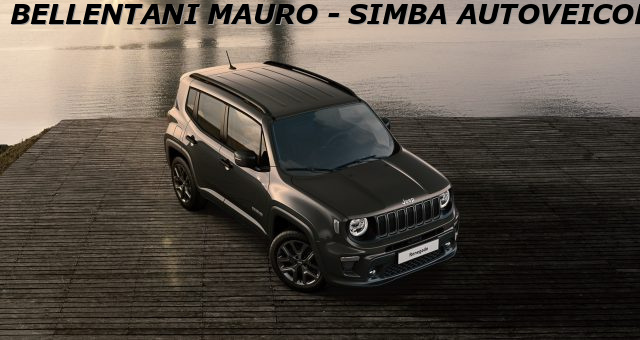 JEEP Renegade usata, con Cerchi in lega