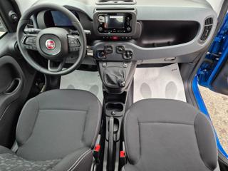 FIAT Pandina usata, con ESP