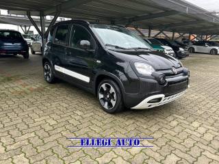 FIAT Pandina usata, con Antifurto