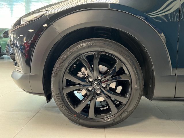 MAZDA CX-30 usata, con Sistema di navigazione