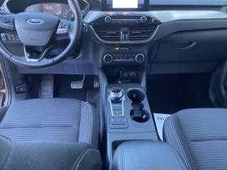 FORD Kuga usata, con Fendinebbia