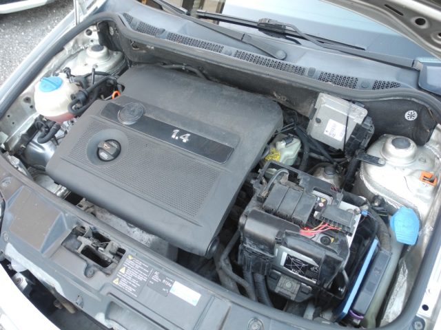 SKODA Fabia usata 60