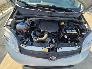 FIAT Panda usata 16