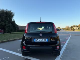 FIAT Panda usata 34