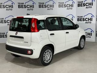 FIAT Panda usata, con Antifurto