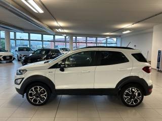 FORD EcoSport usata, con Alzacristalli elettrici