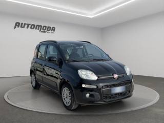 FIAT Panda usata, con Airbag Passeggero