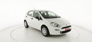 FIAT Punto usata 25