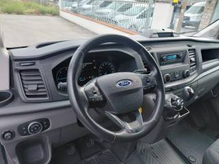 FORD Transit usata, con Fendinebbia