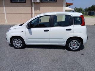 FIAT Panda usata, con Servosterzo