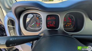 FIAT Panda usata 15