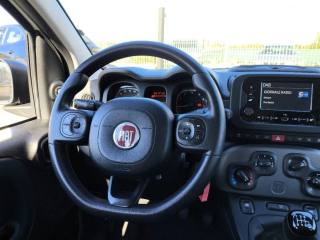 FIAT Panda usata 9