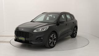 FORD Kuga 1.5 ecoblue ST-Line 2wd 120cv auto