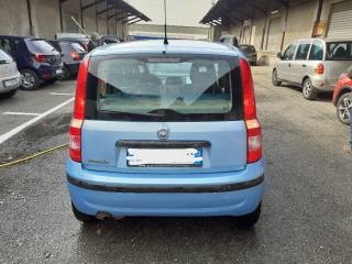 FIAT Panda usata 7