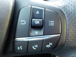 FORD Puma usata, con Vivavoce