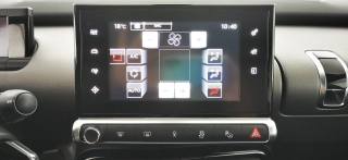 CITROEN C4 Cactus usata, con Cruise Control