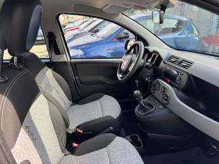 FIAT Panda usata, con Cruise Control