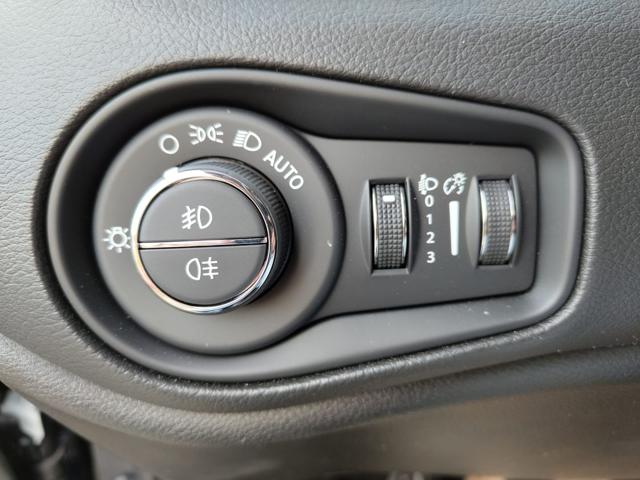 JEEP Renegade usata, con Controllo automatico clima