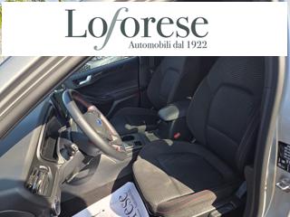 FORD Focus usata, con Cerchi in lega