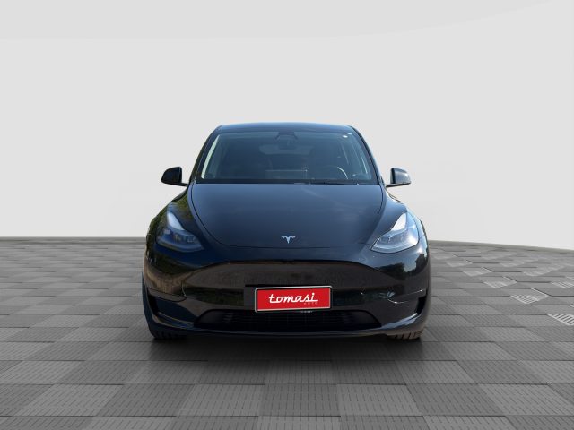 TESLA Model Y usata 7