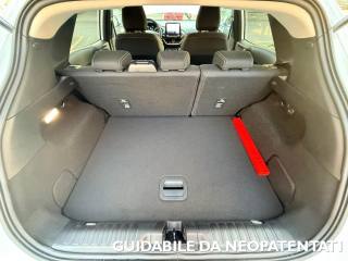 FORD Puma usata, con Fendinebbia