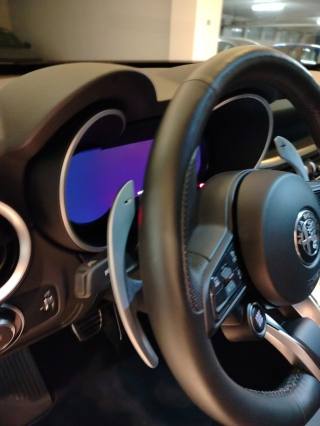 ALFA ROMEO Stelvio usata, con Bracciolo