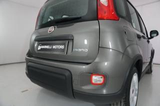 FIAT Panda usata 21