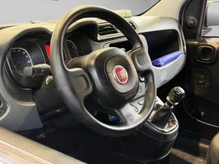 FIAT Panda usata 10