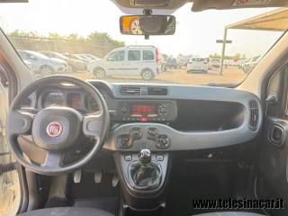 FIAT Panda usata 10