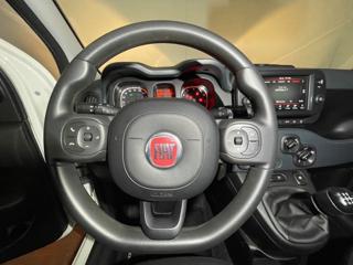 FIAT Panda Cross usata, con Fendinebbia