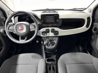 FIAT Panda usata 11