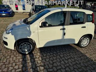 FIAT Panda usata, con Airbag Passeggero
