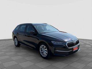 SKODA Octavia usata 6