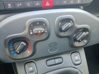 FIAT Panda usata 13
