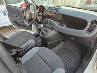 FIAT Panda usata 15