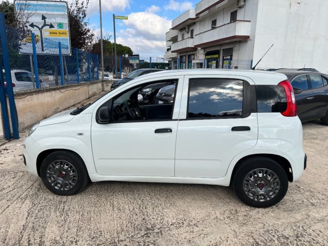 FIAT Panda usata 3