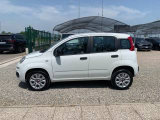 FIAT Panda usata, con Controllo trazione