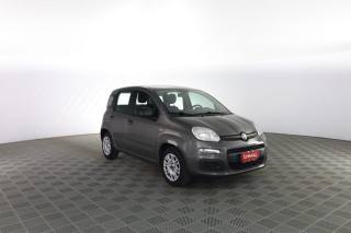 FIAT Panda usata 1