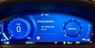 FORD Puma usata, con Cronologia tagliandi