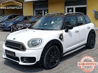 MINI Countryman usata, con Filtro antiparticolato
