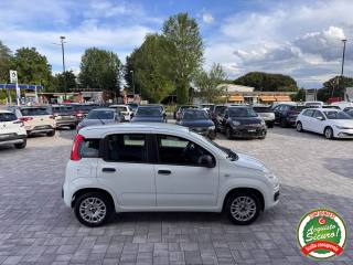 FIAT Panda usata, con Boardcomputer