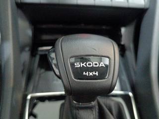 SKODA Karoq usata, con Adaptive Cruise Control