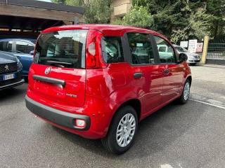 FIAT Panda usata, con Airbag Passeggero