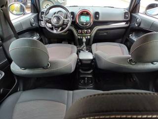 MINI Countryman usata, con Cronologia tagliandi